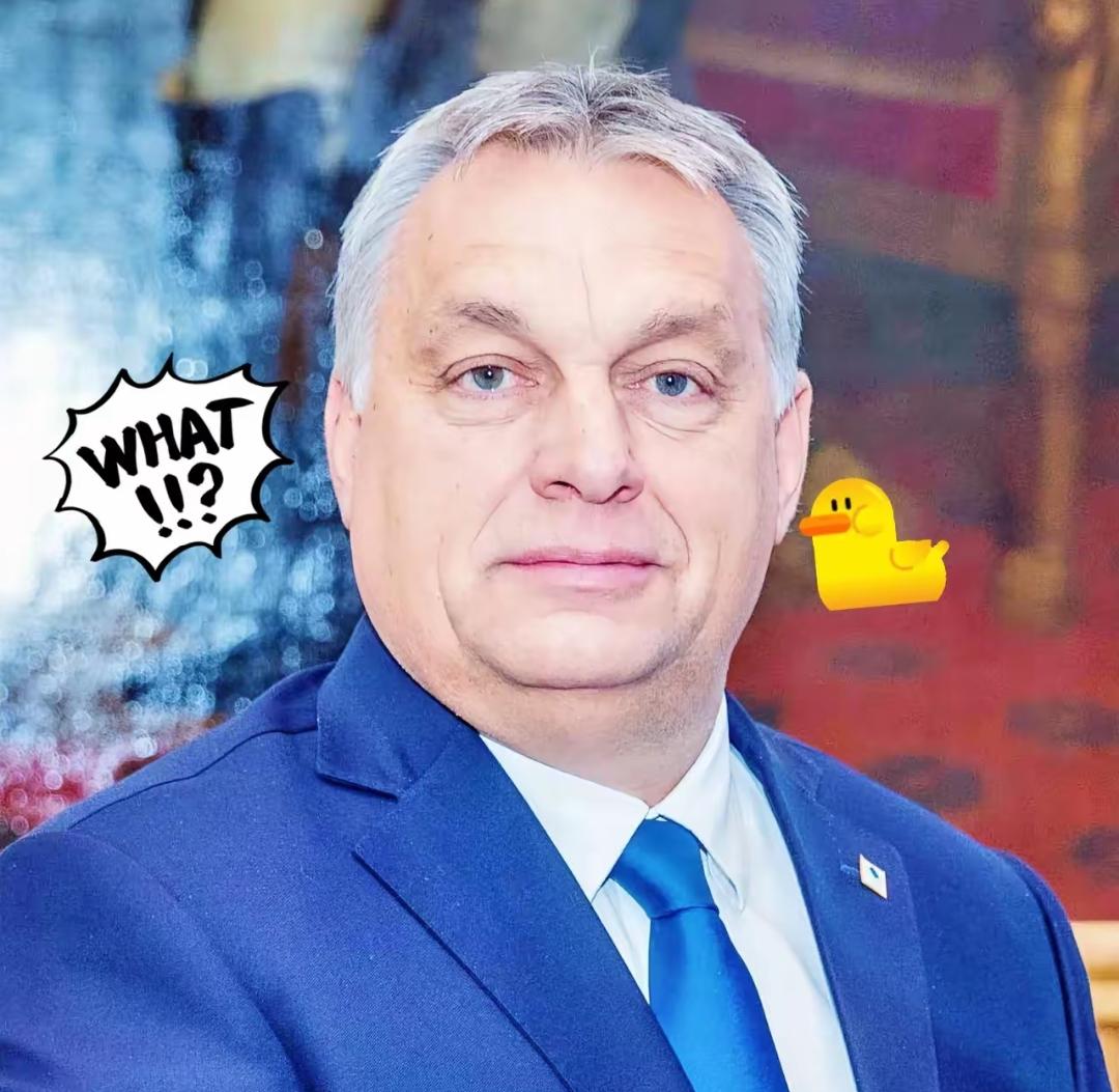 刚刚得知匈牙利总理表示了！11月28日，匈牙利总理欧尔班飞抵莫斯科克里姆林宫