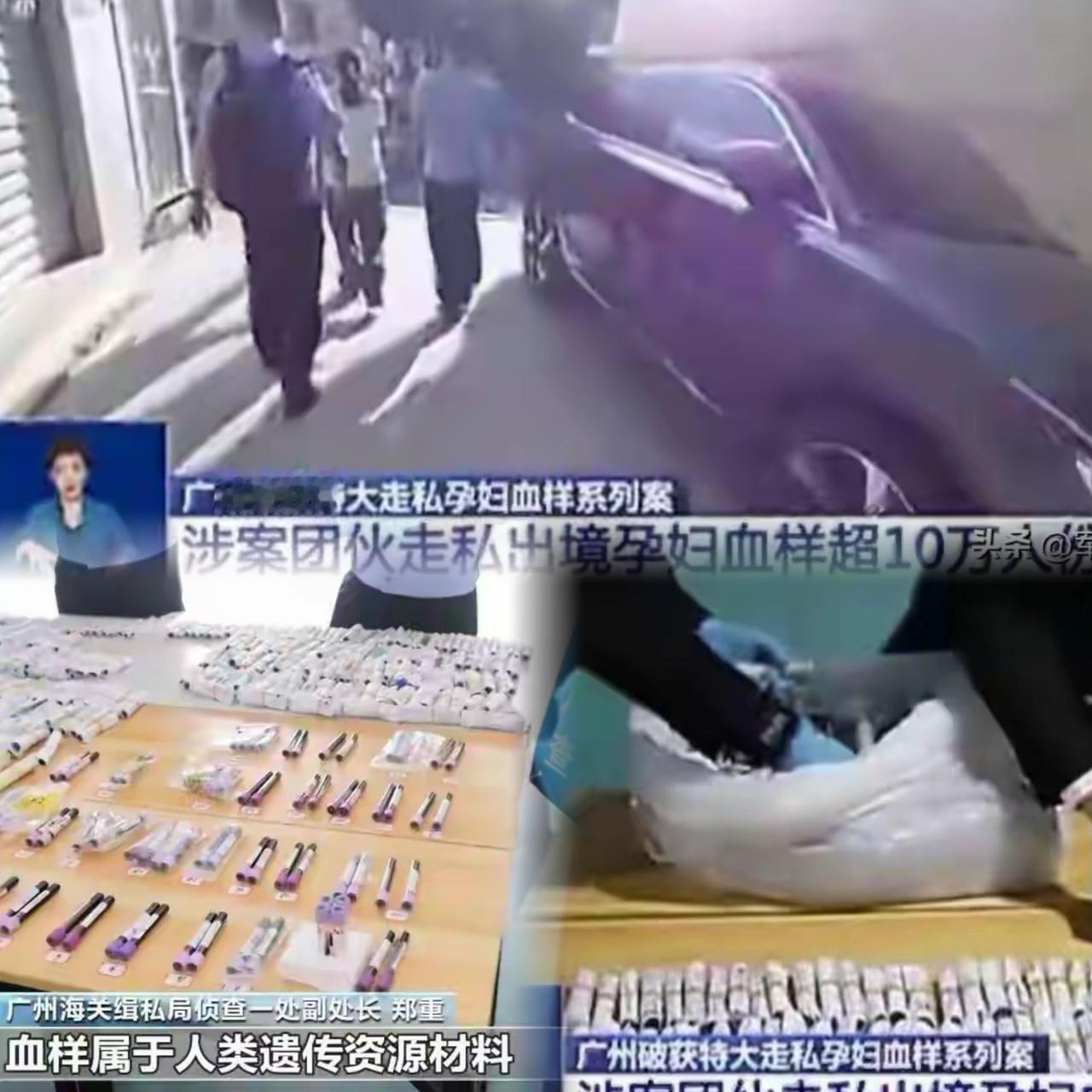 细思极恐！横跨23个省的孕妇血样走私案，10万人的基因密码被打包盗往境外，