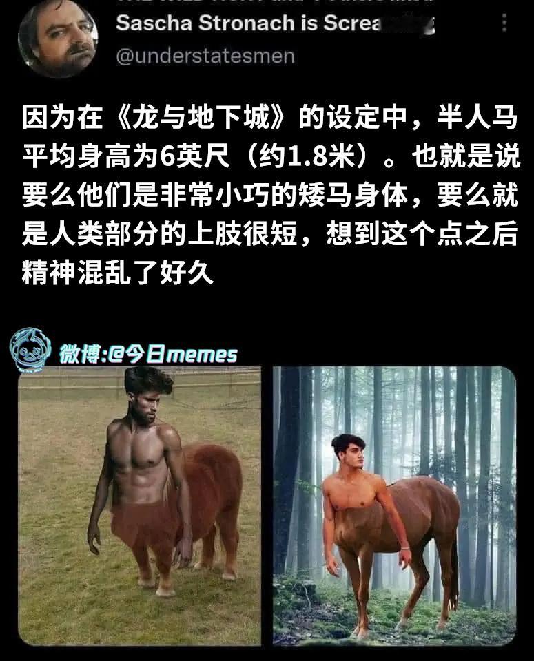 壮实（understatesmen）今日meme今日memes