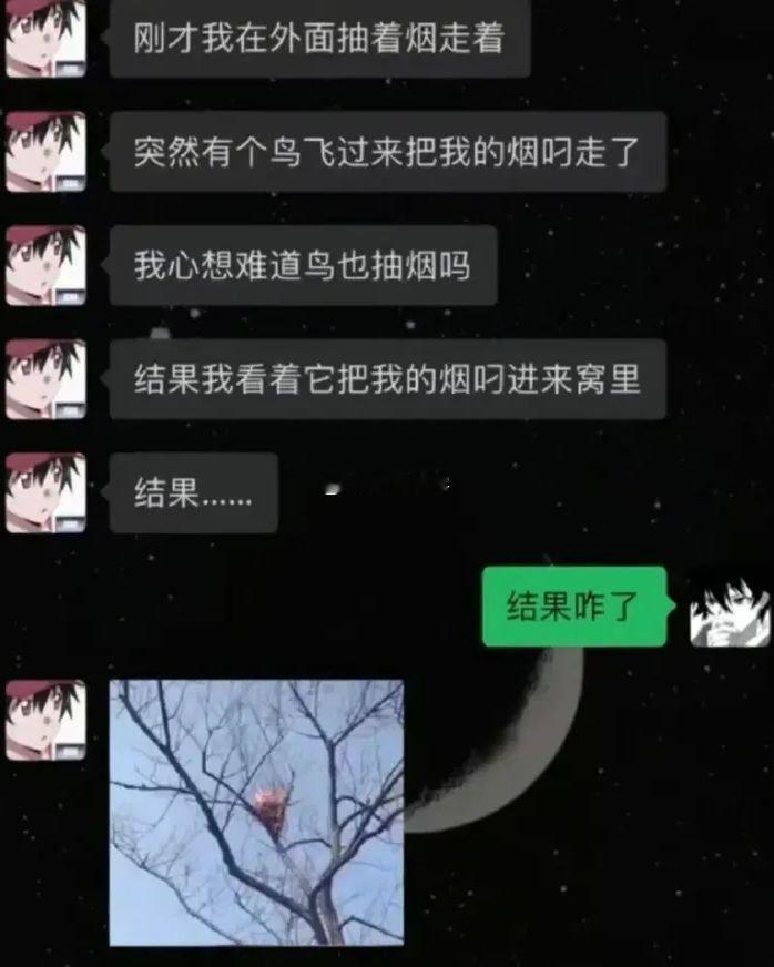 现实中鸟窝被烟头点着并不罕见​​​