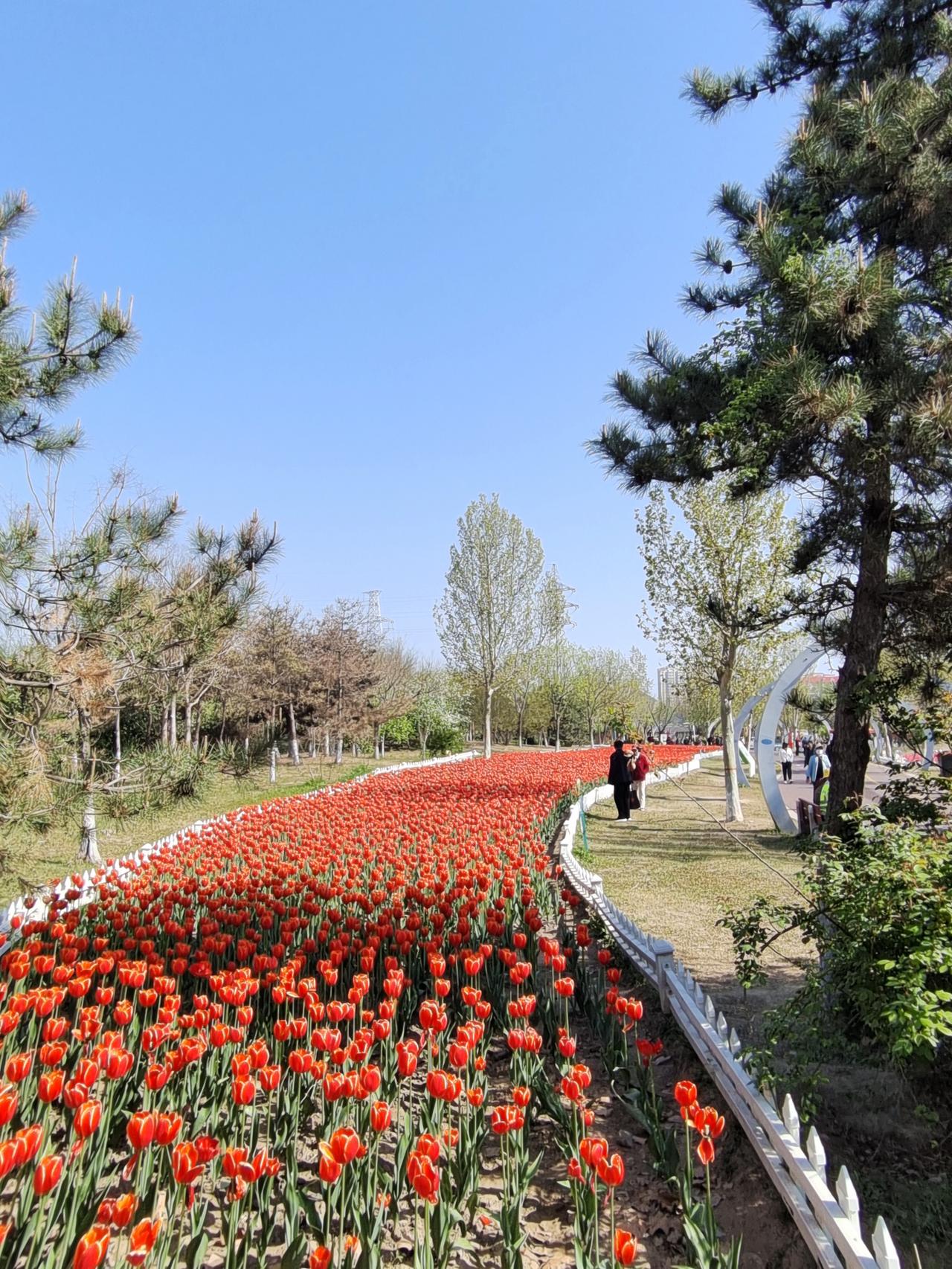 我和雇主大姐回到山东也已经一周时间了。这几天比较忙碌，先是打扫卫生，然后是置买东