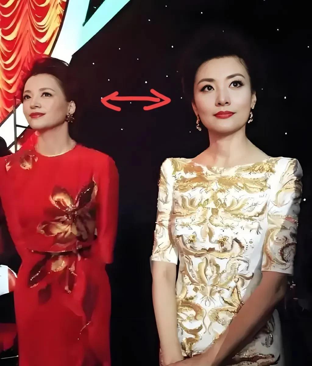 果然还得是过来人更懂人生！我问我爸：董卿和周涛谁更值得学习？我爸一拍大腿：周