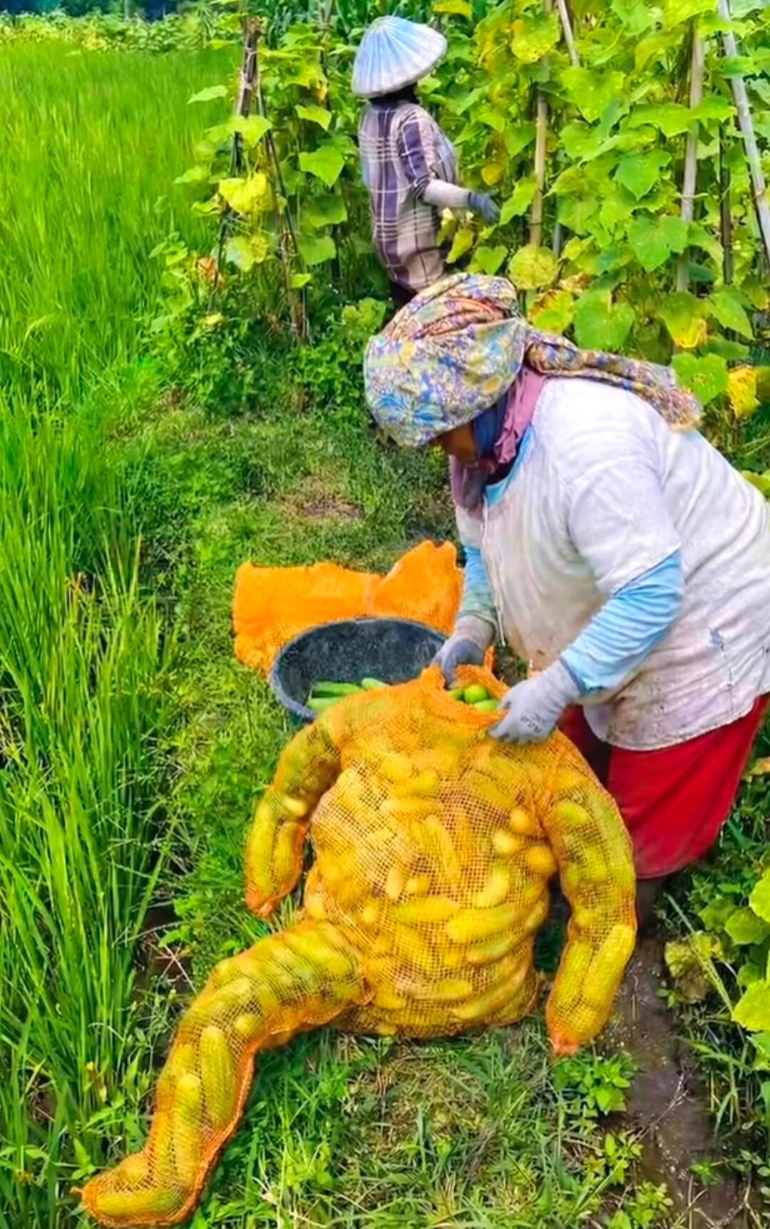这袋子是正经地方买的吗？