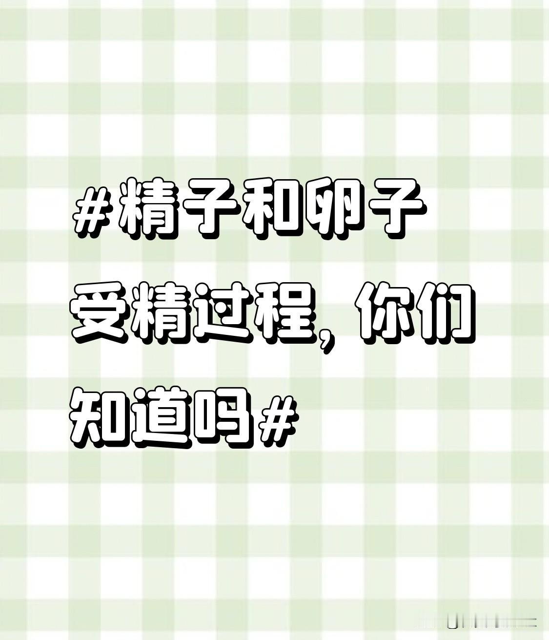 之前刷到有人说怀孕就是“精子赛跑赢了”，看完正经的受精过程才知道，哪是赛跑那么简