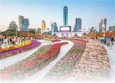 5月5日有媒体报道，中国街景无滤镜视频海外刷屏！路边绿化带郁金香、月季织成“花毯