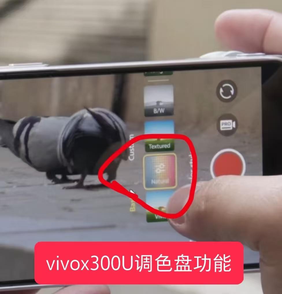 蓝厂终于跟上脚步了，vivoX300Ultra相机📷支持调色盘🎨功能。也