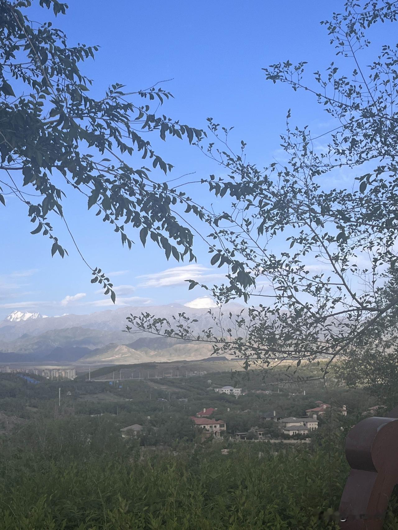 爬山成了精神上的最好慰藉，每天漫步林间，身边是葱葱绿绿的树木，抬头是蓝天白云，听