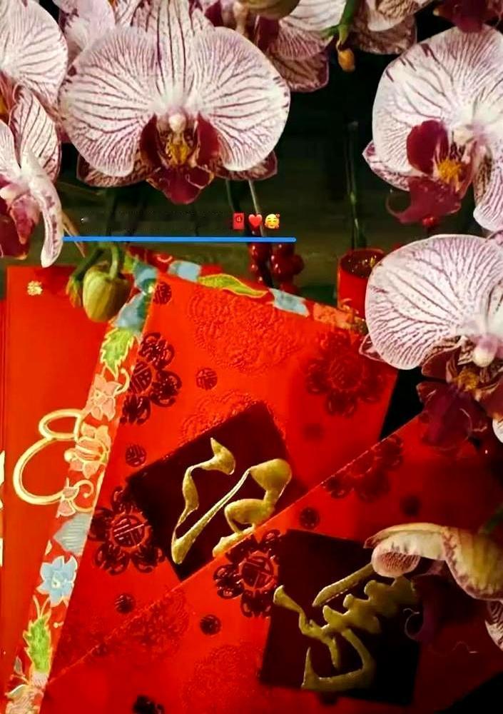 一个刚生的大胖娃，直接终结了汪家十年闹剧！这娃正月初七在台北出生，十五分钟