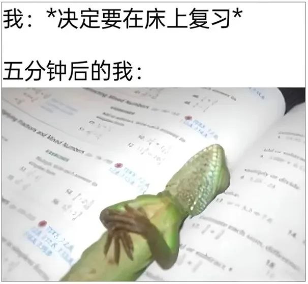 睡会