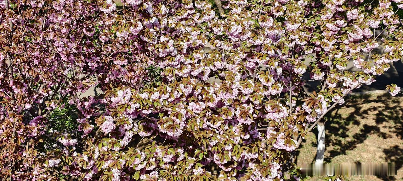 不敢辞职又不想干？恭喜你，这才是90%打工人的真实状态说出来你可能不信。