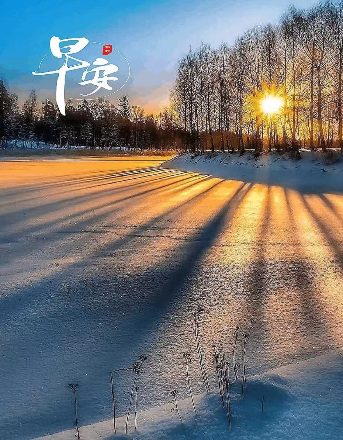 𝙈𝙤𝙧𝙣𝙞𝙣𝙜早安治愈自己的不一定是时间是自己内心的度与量❤️