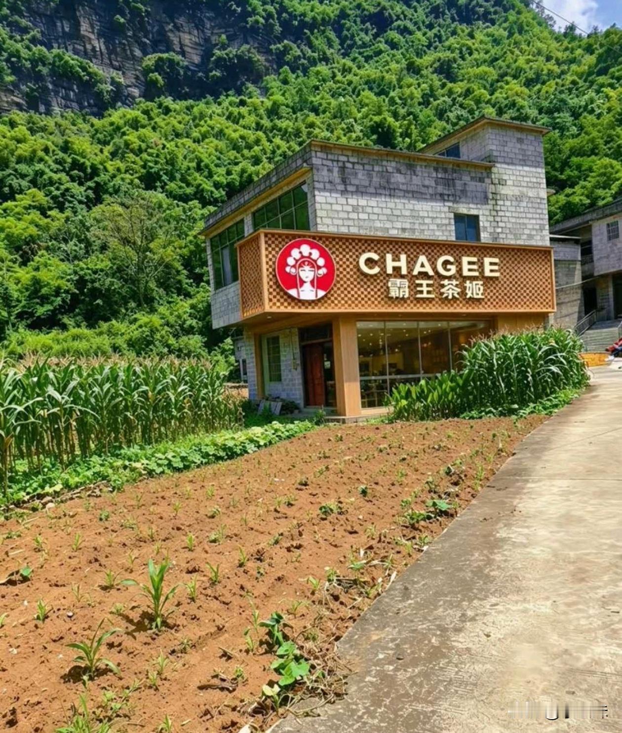 你们觉得这个项目有没有搞头？