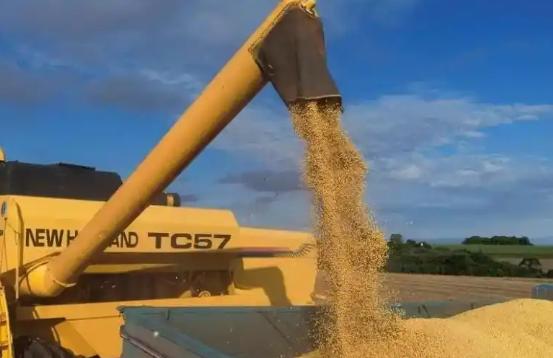 万一阿根廷,美国,巴西三国大豆全部涨价,中国怎么办? 这三国确实是咱们买大豆