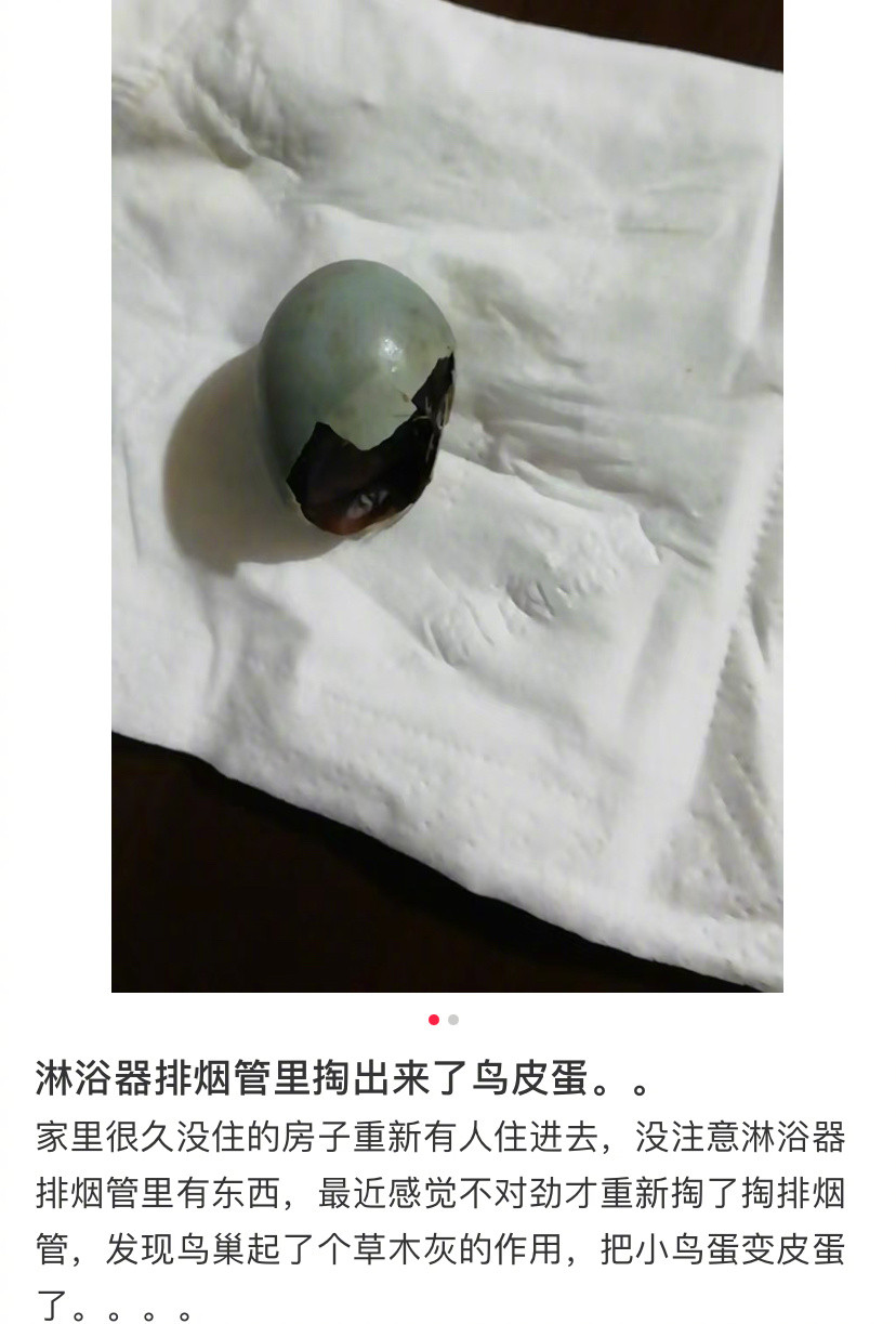 排烟管里发现了野生皮蛋
