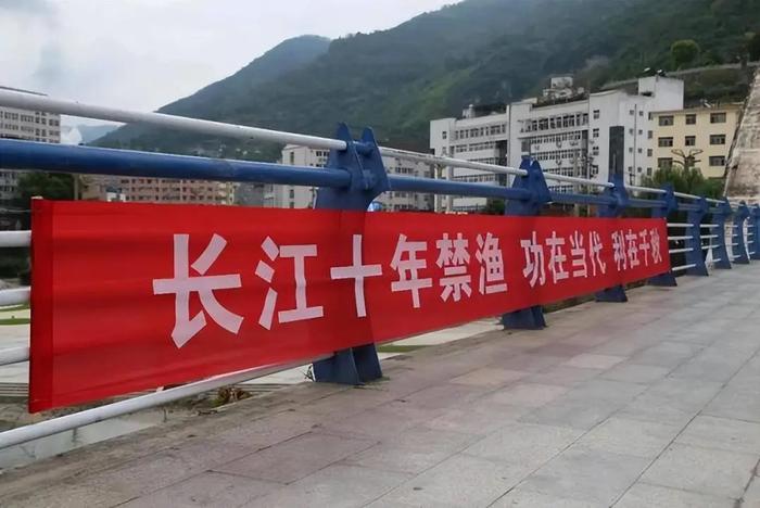英国《经济学人》近期发文吐槽中国长江十年禁渔，典型的西方双标套路被彻底暴露。文章