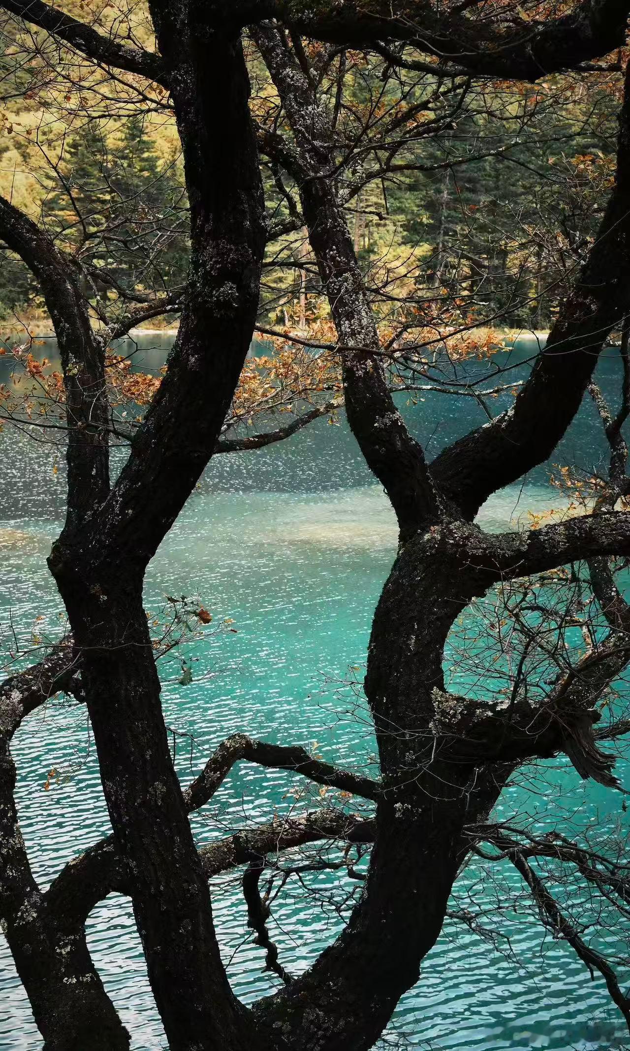 2025四川省文化和旅游发展大会锦绣四川等你来!近千家A级景区藏着自然与人文的