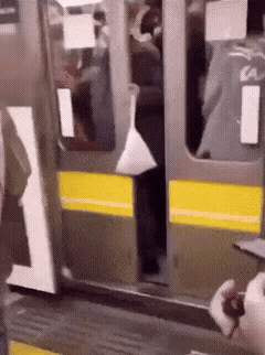 谁家的宠物，在家关好了，别放它出来霍霍别人！