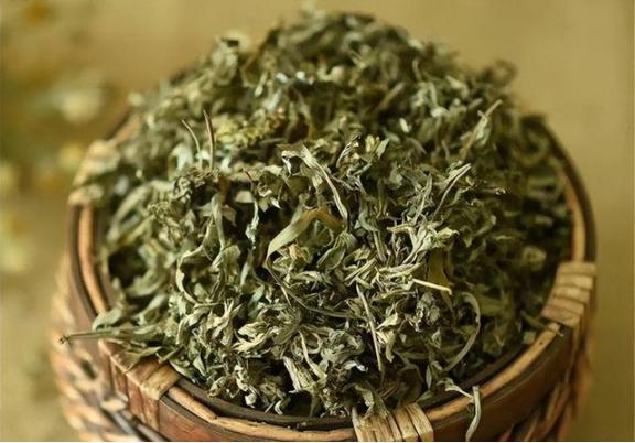 用艾叶当枕芯，六个月后去医院体检，医生羡慕：气色红润说到艾叶，你可能想到的都