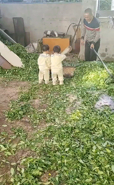 这家长心真大啊……