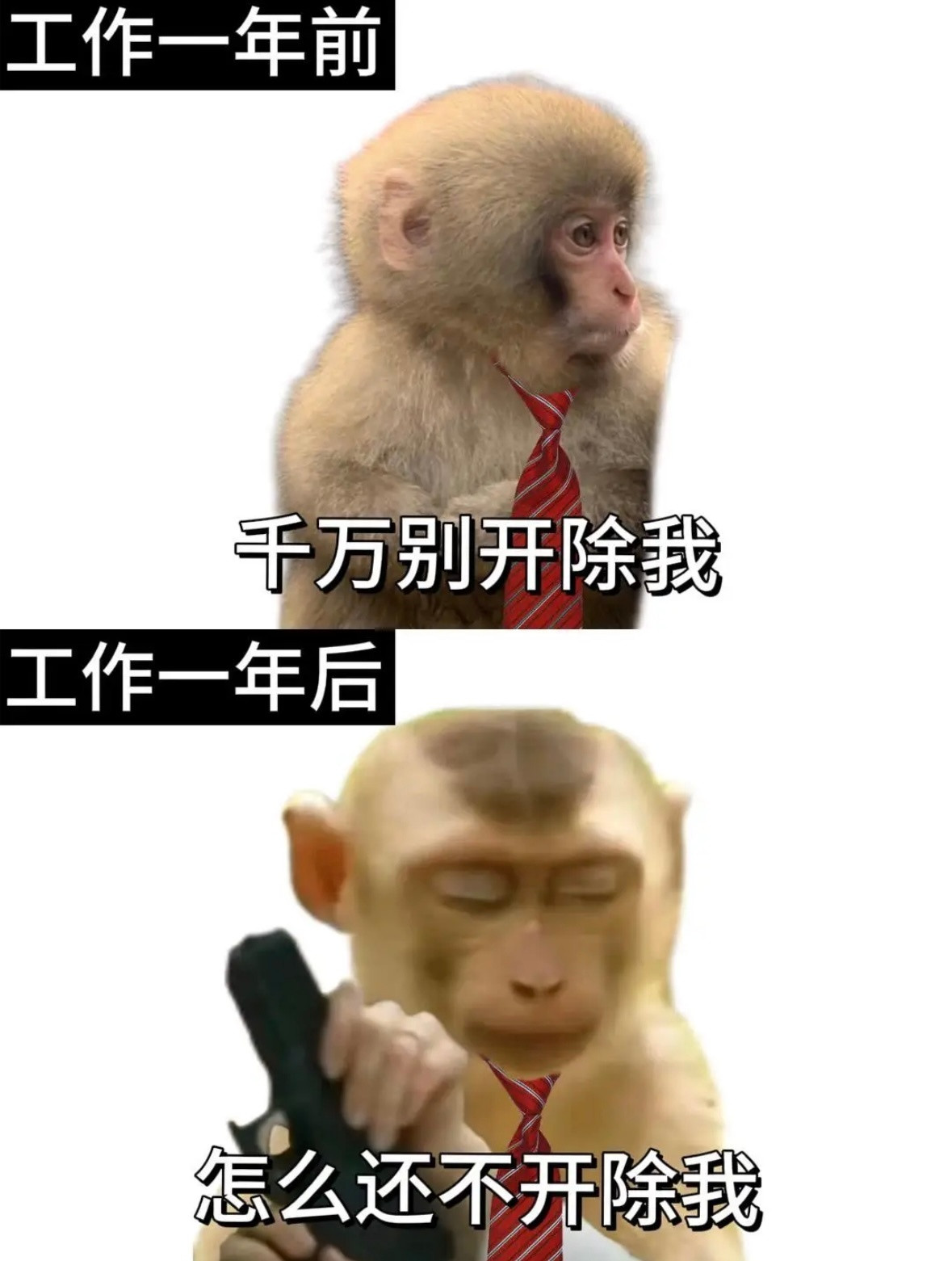 工作前后大对比左划看我入职后生活，0个赞就离职。