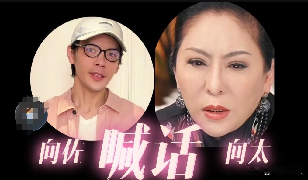向佐直接向母亲向太发出了质问——明明说好的，家事私下沟通，为什么又拿到网络上说？