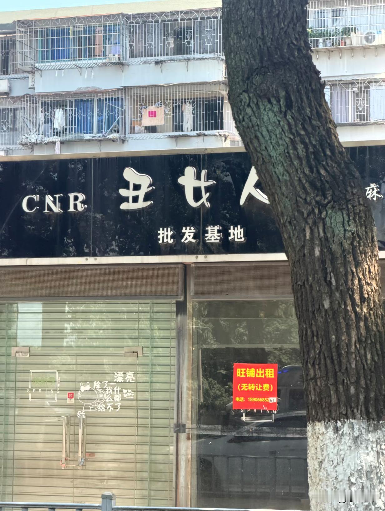 我好像找到这家店倒闭的原因了