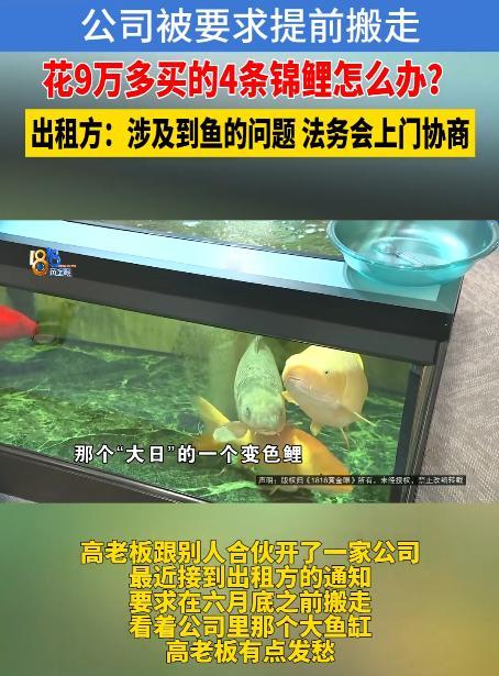 浙江杭州，男子突然收到出租方通知，要求他在一个月内搬离，他望着那4条2年前花9万
