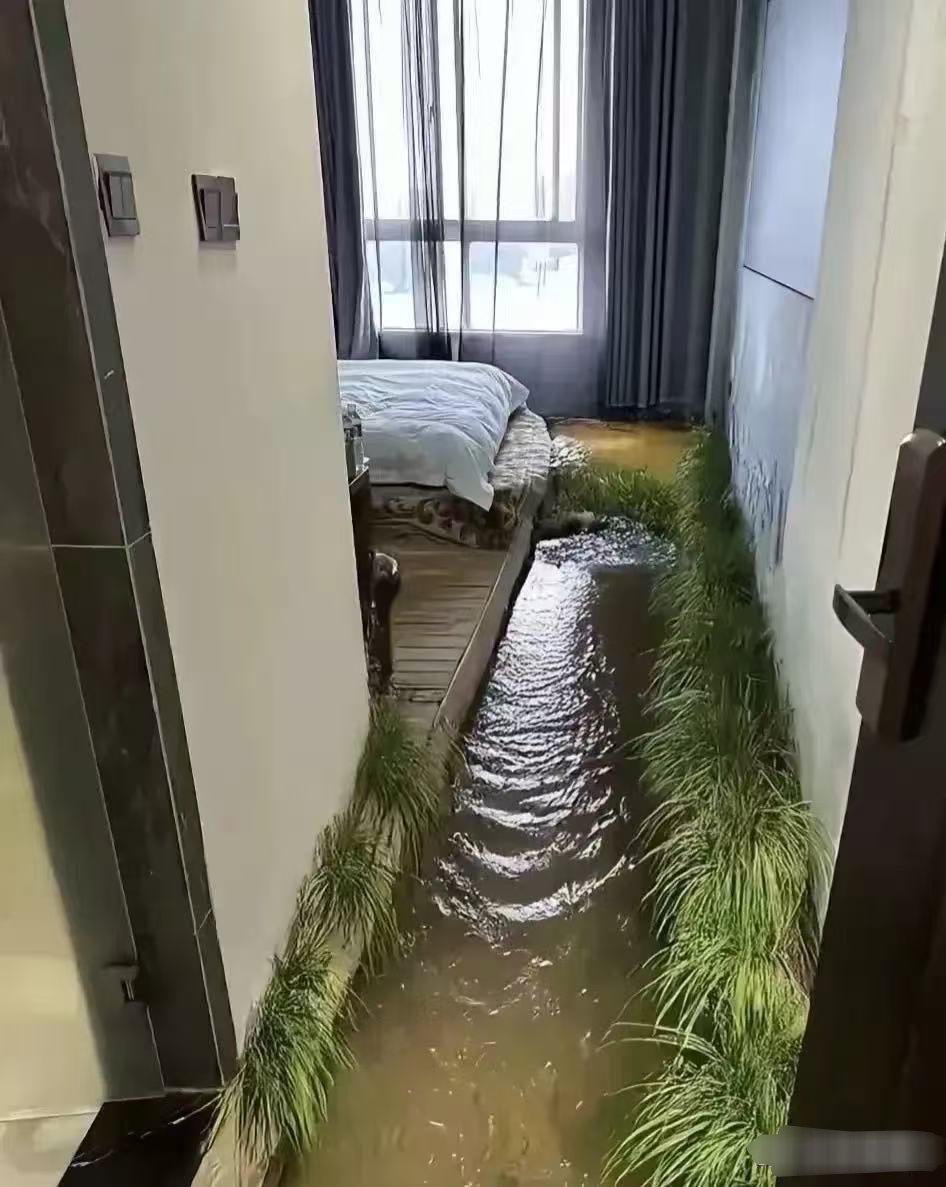 搞不懂，尽然有这样的民宿啊？