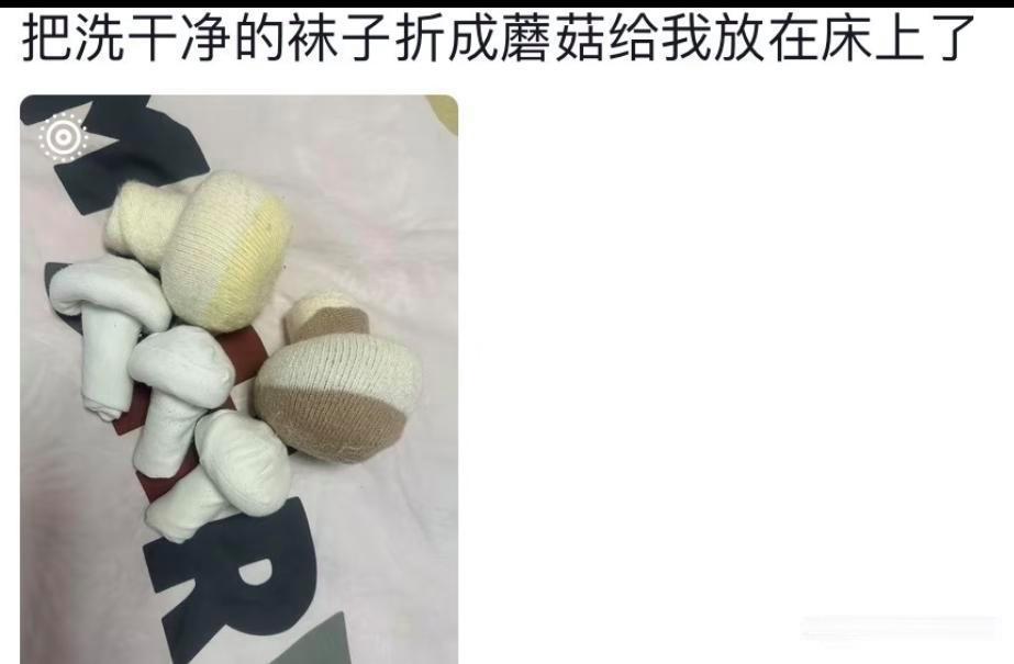 老公的道歉真是让人哭笑不得，日子怎么可能跟谁过都一样呢？看完网友的评论羡慕了！