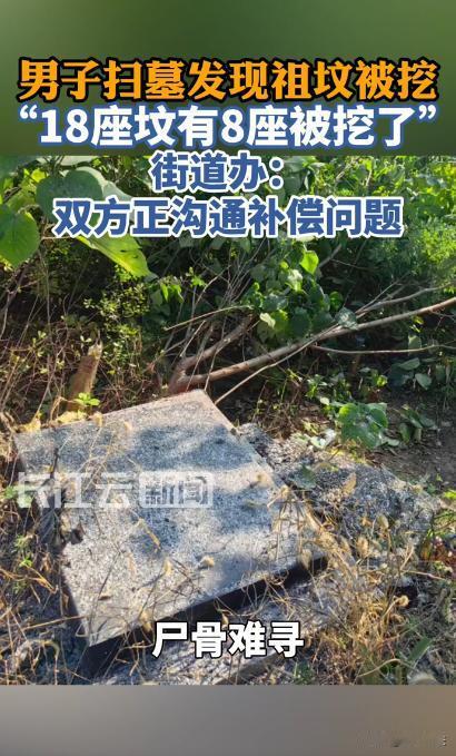“挖人祖坟，缺了大德了！”山东济南，一男子中元节前去祭扫家族46口人共同的祖坟，