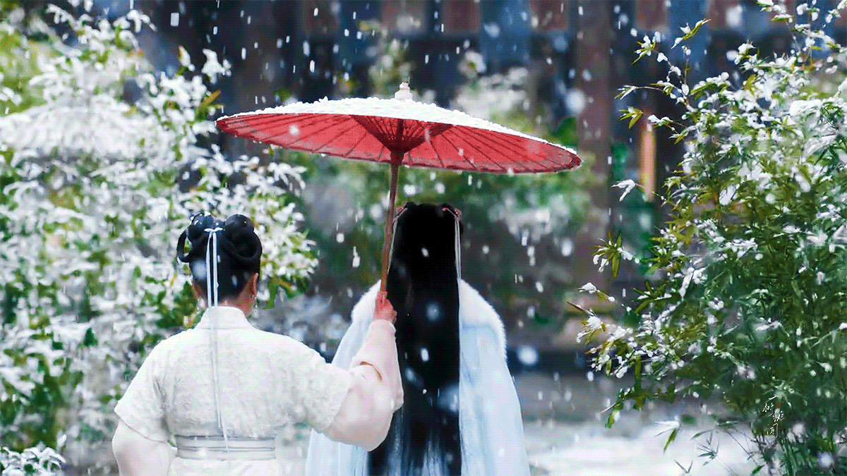 白鹿今年的雪下的格外早一说雪就想起来我们时宜雪里的身影一直在走着我
