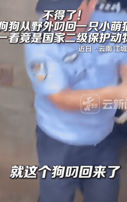 不得了了！云南一名主人正在家中干活，突然家中的狗狗从外面跑了回来，并且狗狗嘴里还