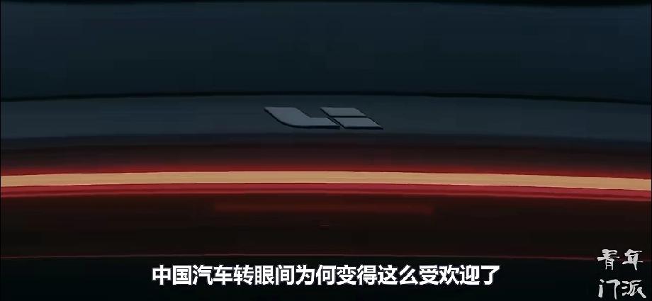 到底哪些国家在买中国车现在中国车真的卖遍全球啦！2025年1-11月