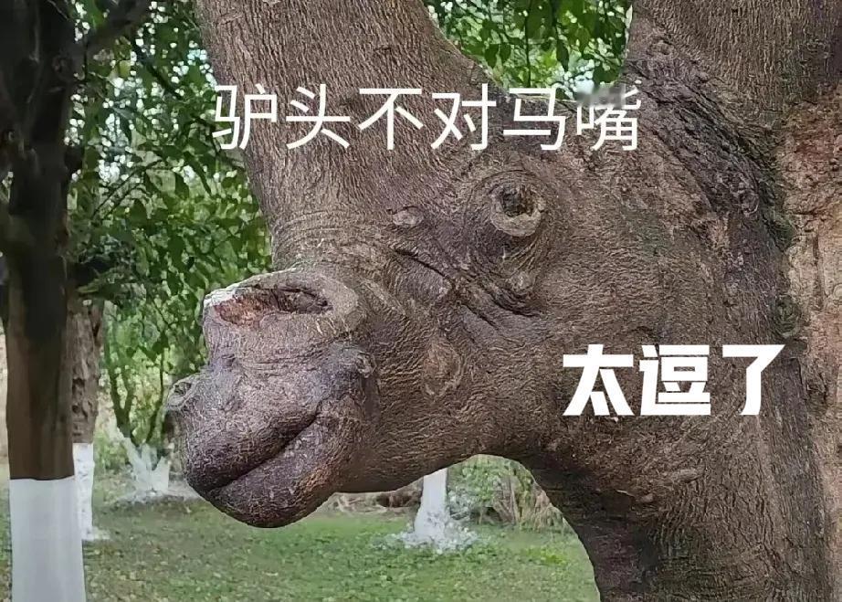 证据学太抖的粉丝数量太假，太抖说假证不假，难道说自己的假粉丝也不假？太抖表白