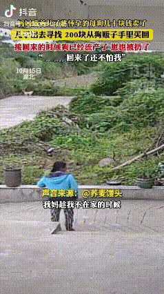 “让人心疼！”湖北，一小伙发现家里养了好多年的母狗，被妈妈偷偷卖掉了。这母狗当时