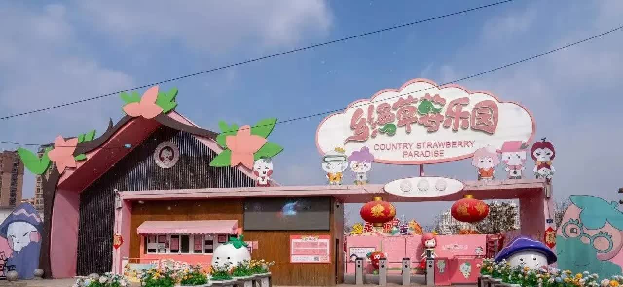 去年底，李老师是第一个选择60岁才退休的女副高教师，这几个月她过得怎么样？