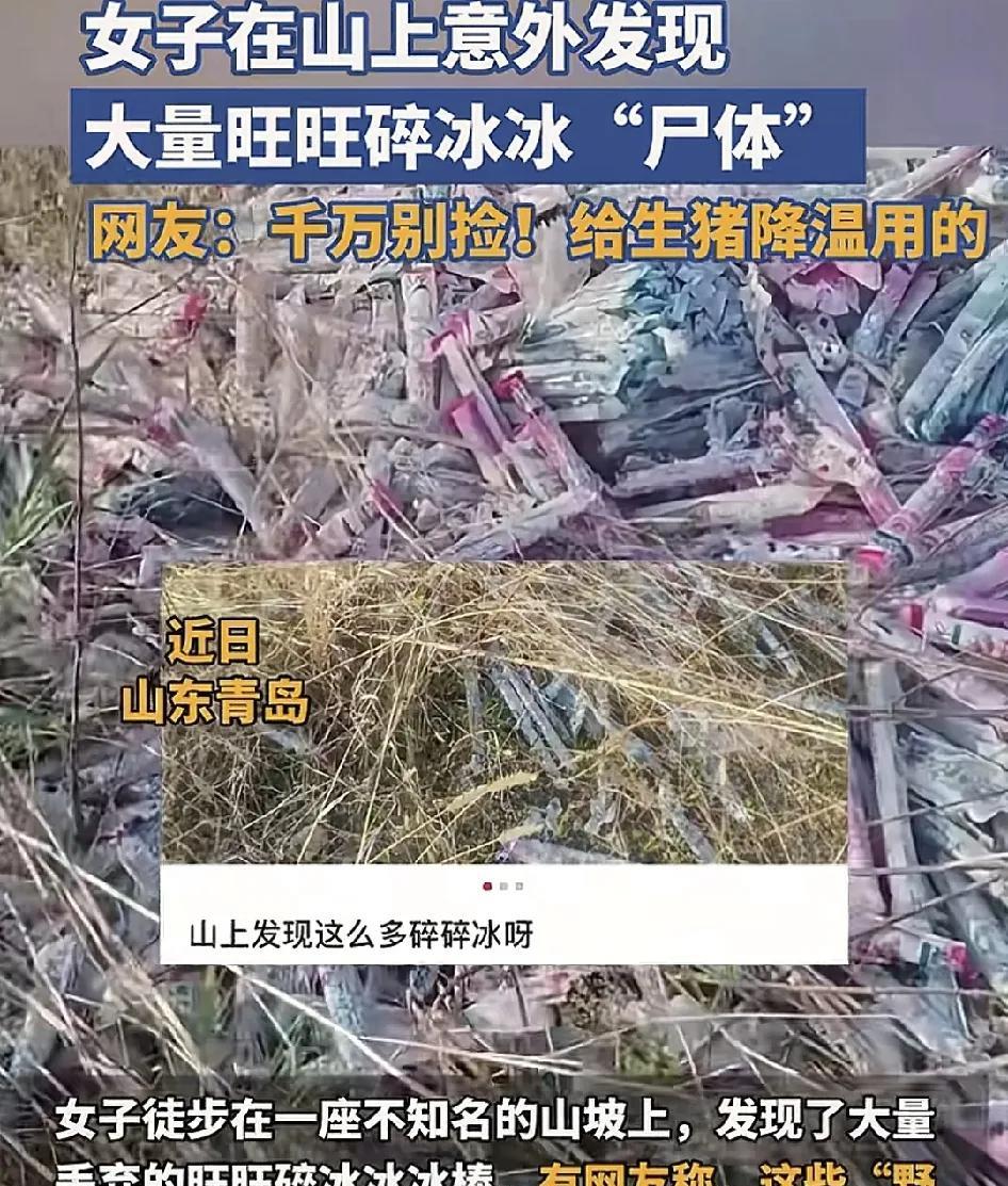 山东青岛的女子走在无名的小山坡上看到了一大堆遗弃的碎冰冰，不知道是一些养猪护用于