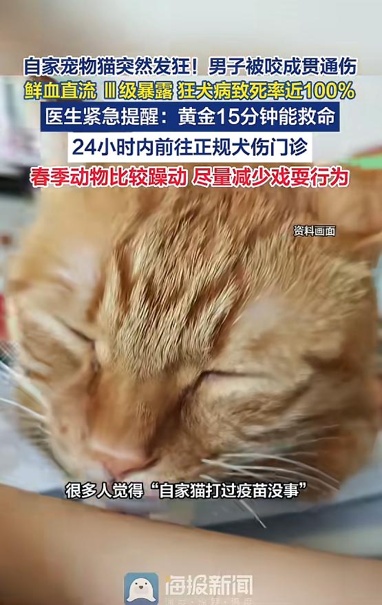 “太吓人了！”近日，河南郑州，一男子养了只猫，当时他在家时，猫突然发狂，对他猛烈