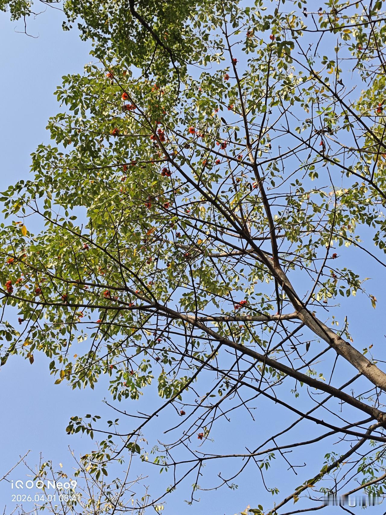 我侄女的丈夫出了轨，她发现后没含糊，直接就离了婚。前几天，她前夫的妈妈听说俩