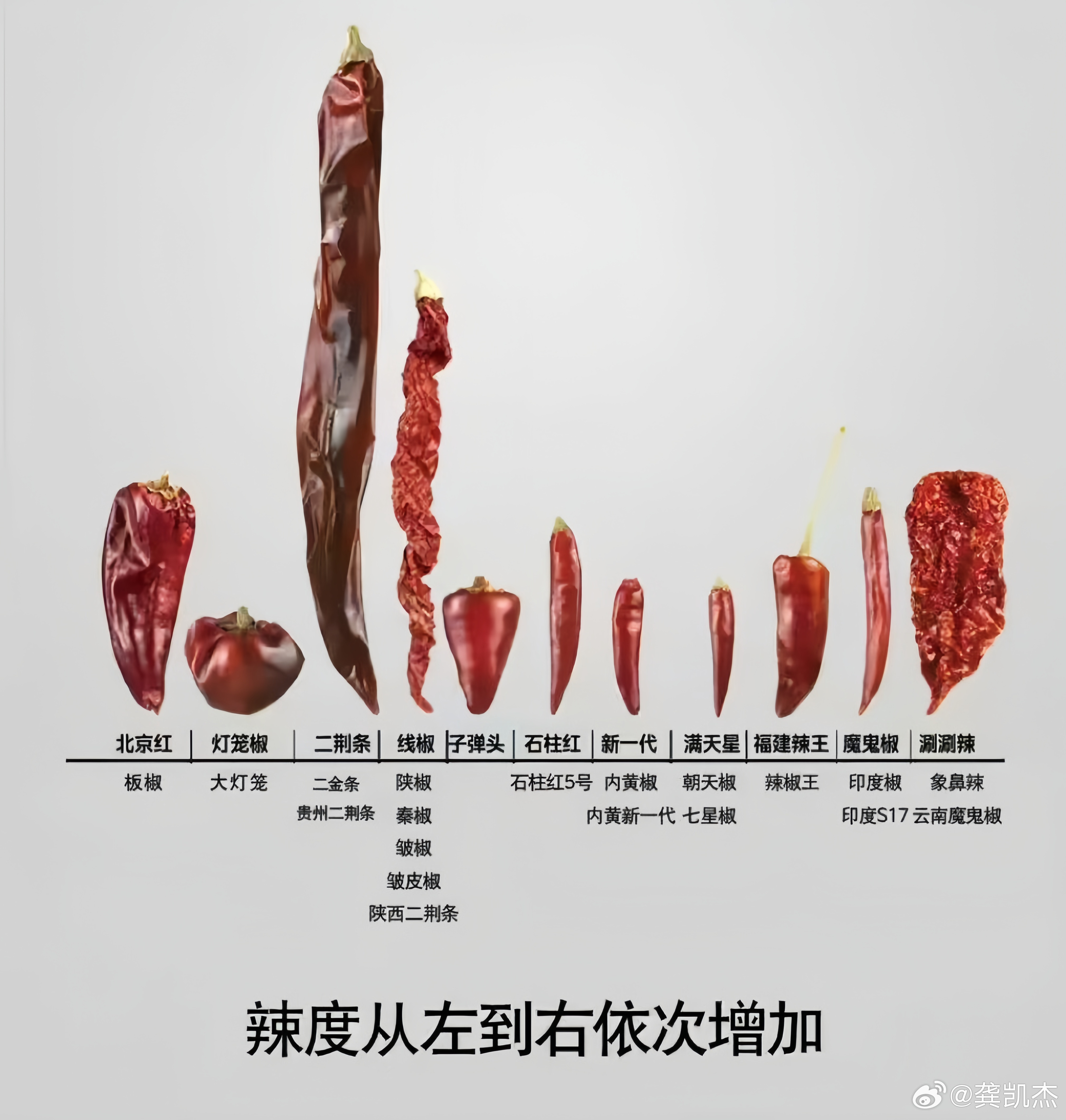 辣度从左到右依次增加，你能接受到哪个级别的辣度？​​​