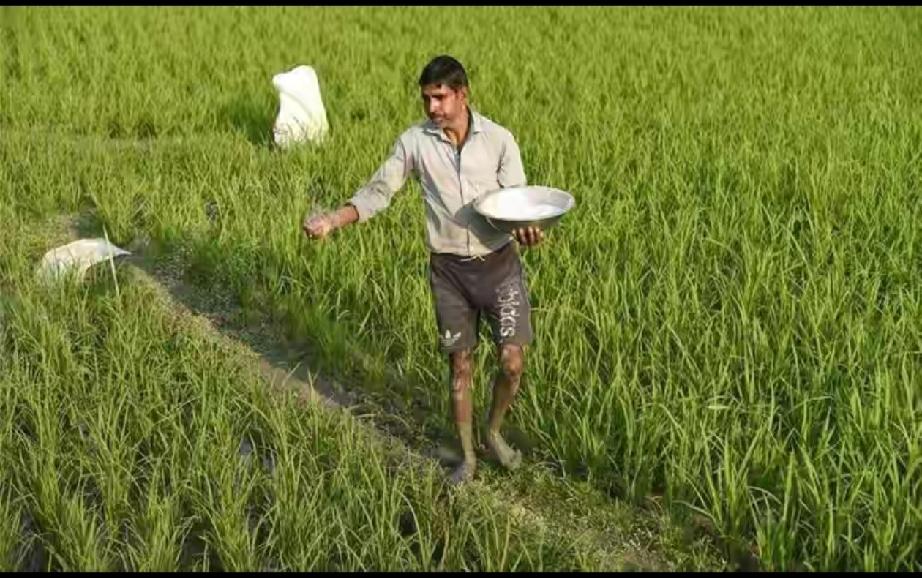 印度尿素招标为什么会流产？有时候，你不得不能理解印度的脑回路，清新脱俗，标新