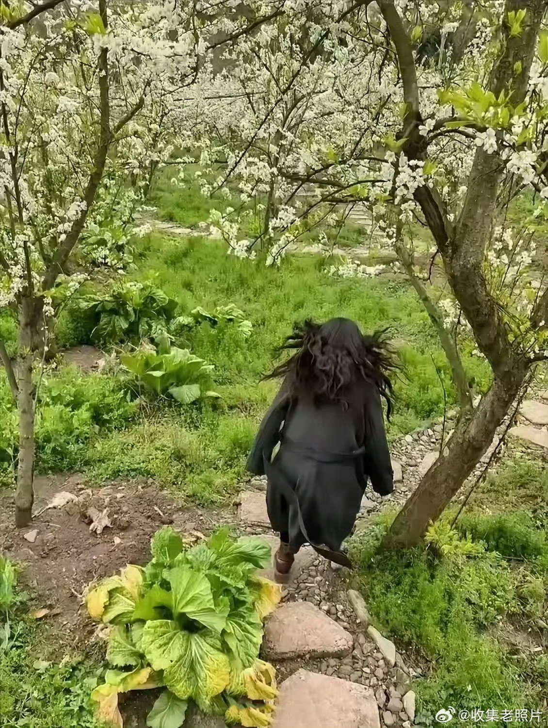 野兽出没
