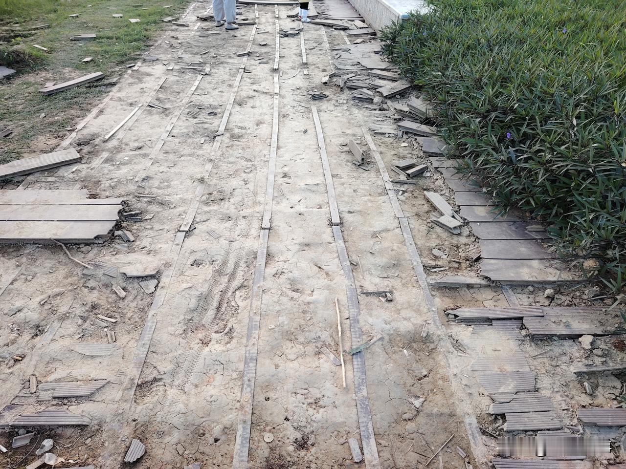 这是广西南宁市一处豪华江景房不远处的江边公园，这个江景房小区都是300多万的大平