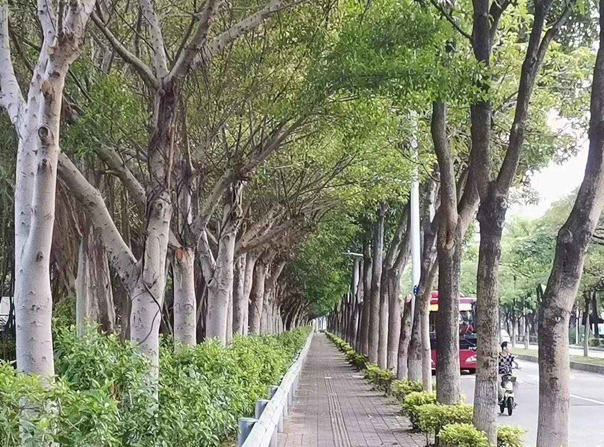 真的快愁死了，昨晚上我儿子又抱着我哭了一场。他今年才25，好好的一个小伙子，摊上