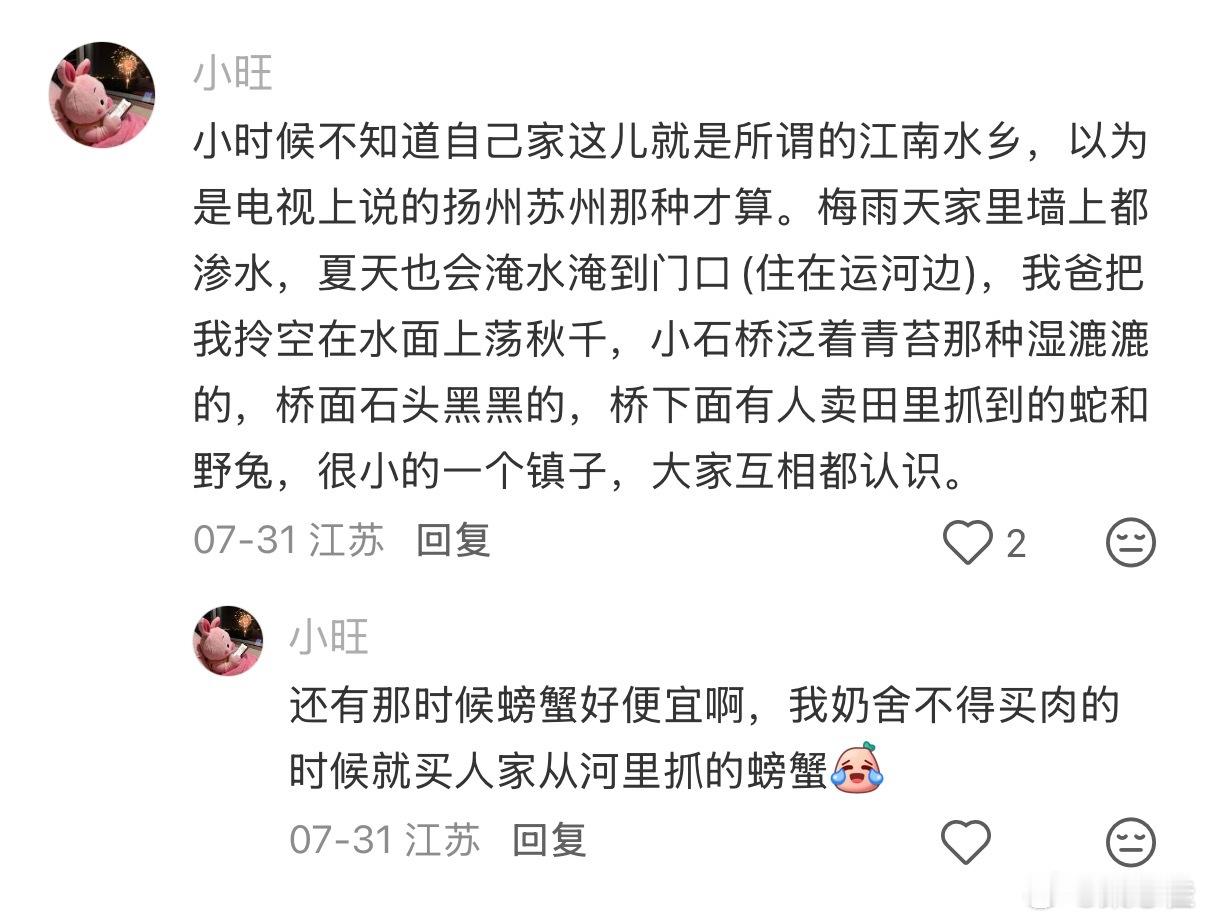 老家是江南水乡的感受