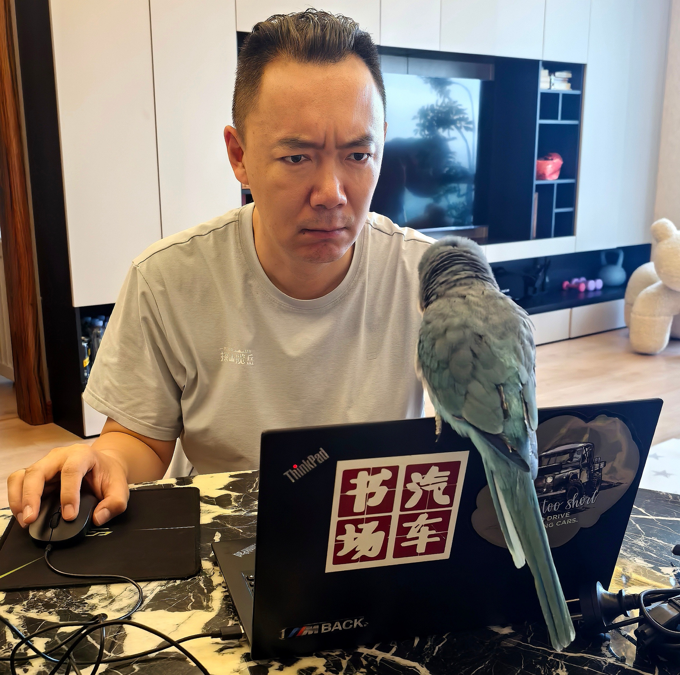 宠物鹦鹉不是，我审片子呢，你来捣什么乱？​​​
