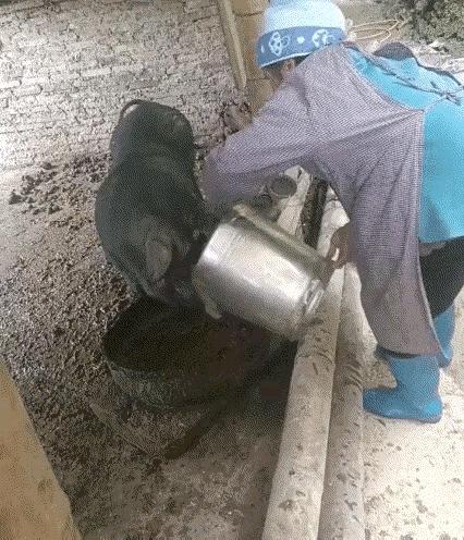 太有灵性了！贵州一老奶奶喂猪时，发现自己够不着猪食盆，于是，老奶奶便吆喝黑猪，让