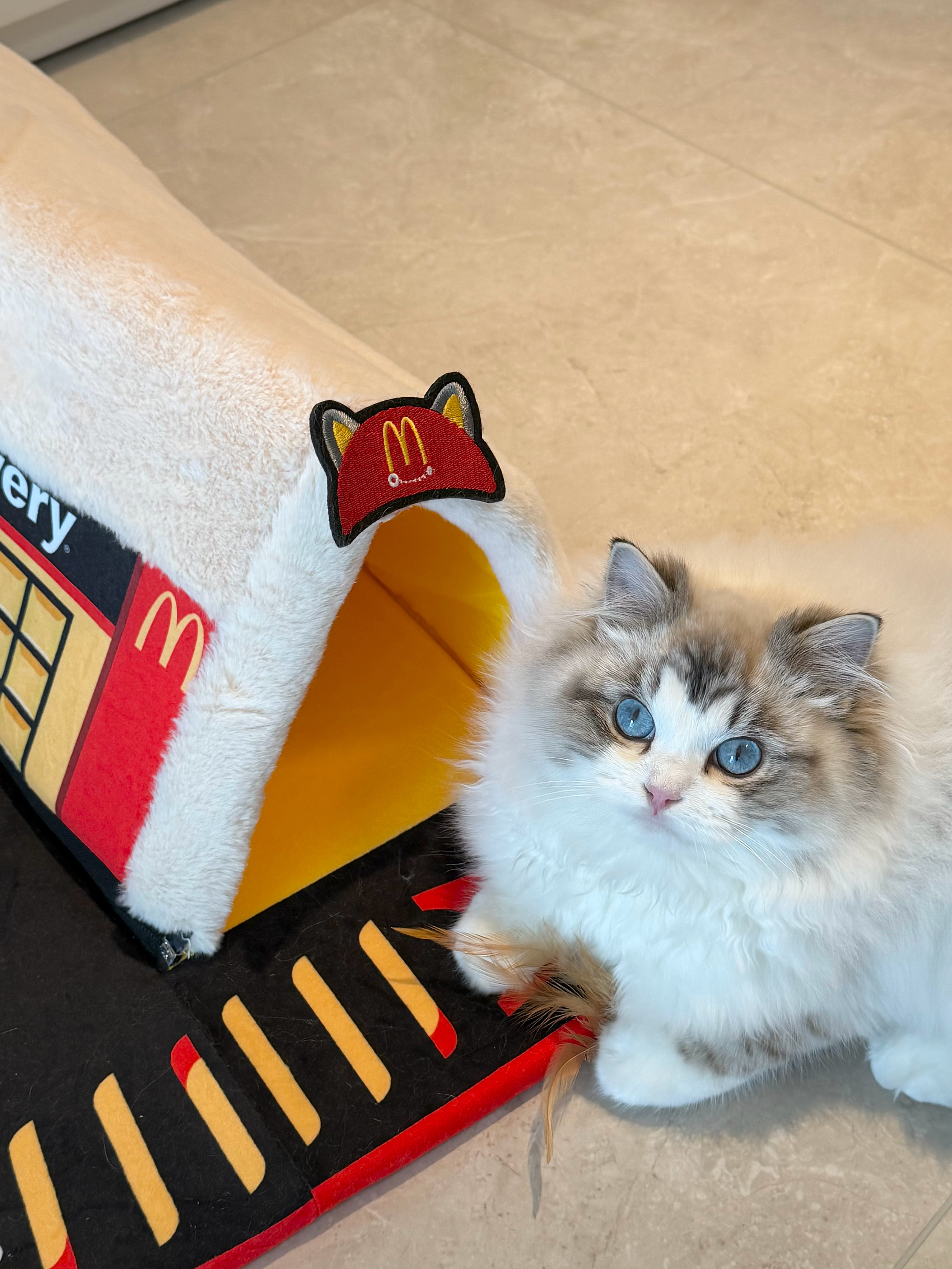 有点太可爱了这小汉堡🍔