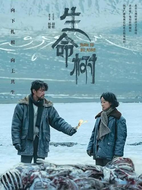 这部剧目前面临的局面很有意思：口碑很硬，热度没爆。央视收视破2.38%、豆瓣深陷