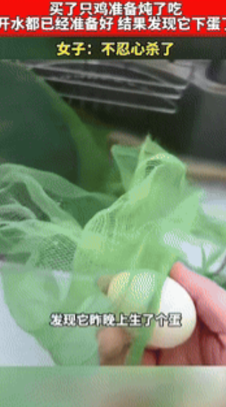真成精了？”江西，一女子特意去乡下买了只鸡，准备拿到水池清理干净，炖了吃时，意外